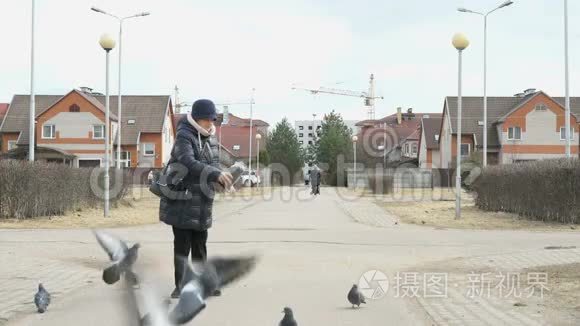 在街上喂鸽子的成年妇女