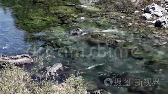 小河流从高空流过岩石视频