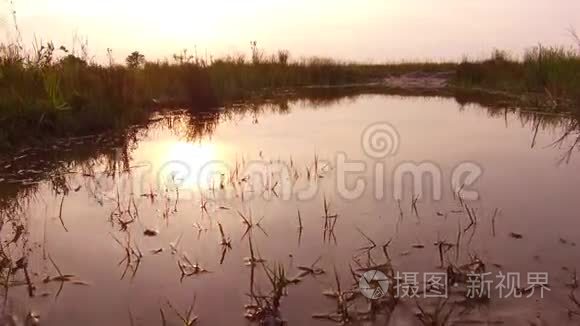 美丽的夕阳景观自然.. 清澈见底的小河.. 无纺布的自然美.. 夏日夕阳西下小河