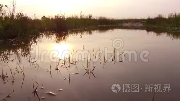 美丽的夕阳景观自然.. 清澈见底的小河.. 无花江自然美景.. 夏日夕阳小