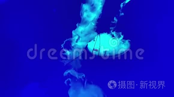 近距离水下游泳水母录像视频