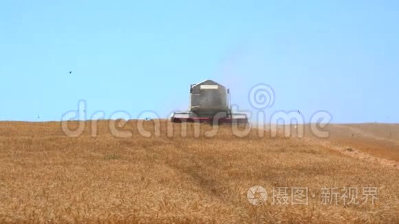 收割机收集小麦(4k)
