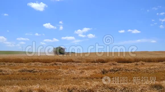 收割机收集小麦(4k)