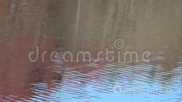 湖面红蓝绿树倒影视频
