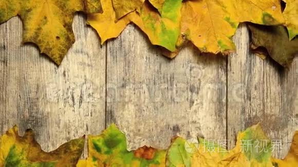 旧木地板上的秋叶