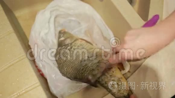 用刀子清洗鱼鳞视频