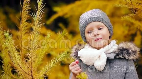 秋天美丽的女孩背景黄树的肖像视频