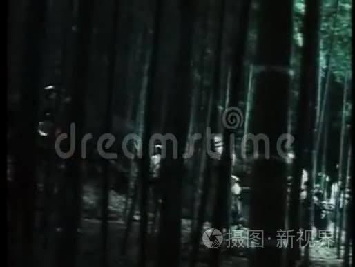 日本战士在森林里跋涉视频