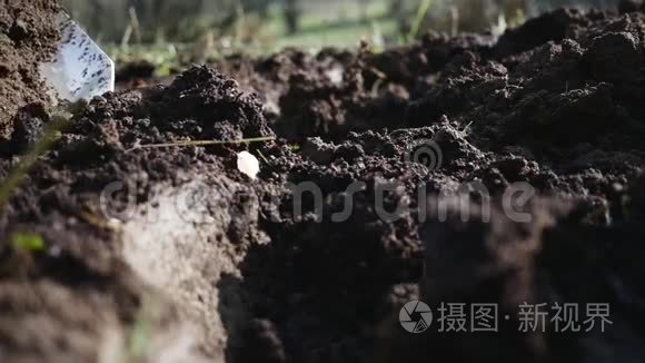 把铁锹把粪肥放进泥土里视频