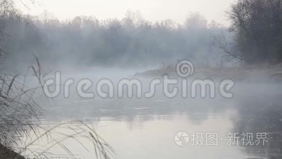 清晨在北欧春天的雾水上视频