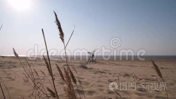 波罗的海海湾海滩，日落时有白色的沙子-4K视频，相机移动缓慢，内部稳定。