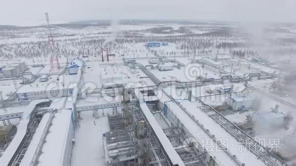 大雪域植物景观视频