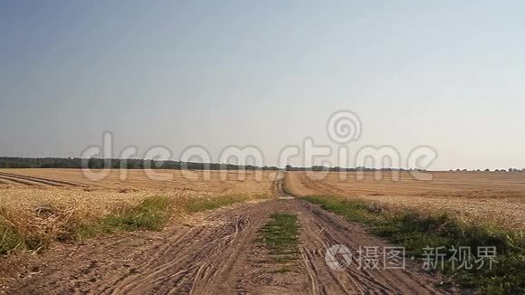 小麦田和道路视频