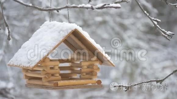 鸟儿飞到喂食器前，把种子、树上的雪、落下的雪花带到鸟舍