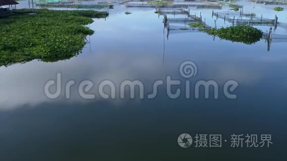 水湖村航拍视频