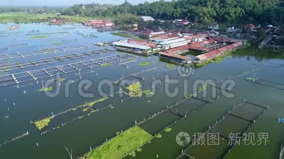 水湖村航拍视频