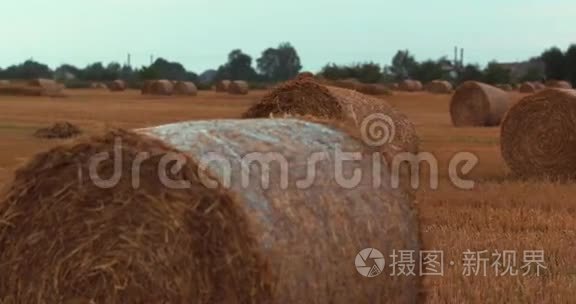 日落天空下的草贝状气射场视频