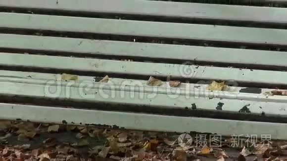 秋季公园的复古白色木凳