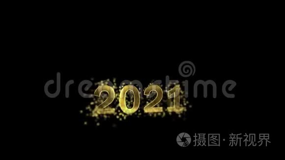 黄金号收集的粒子2021年