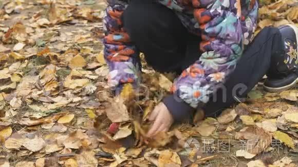 秋天公园里不知名的小孩视频