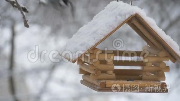 鸟儿飞到喂食器前，把种子、树上的雪、落下的雪花带到鸟舍