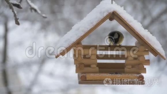 鸟儿飞到喂食器前，把种子、树上的雪、落下的雪花带到鸟舍