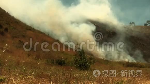 山坡大火烧毁了植被视频