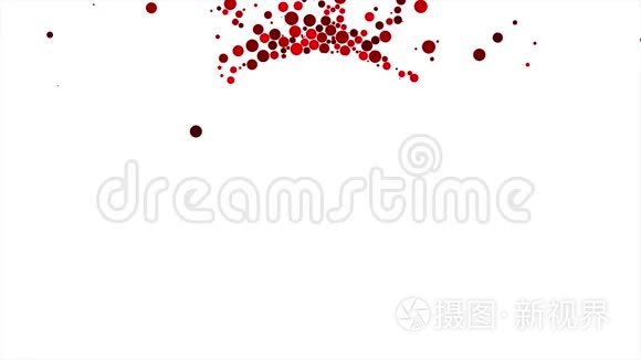 五颜六色的红色球落下来，衬着白色的圆形。 动画。 不同大小的气泡或球体