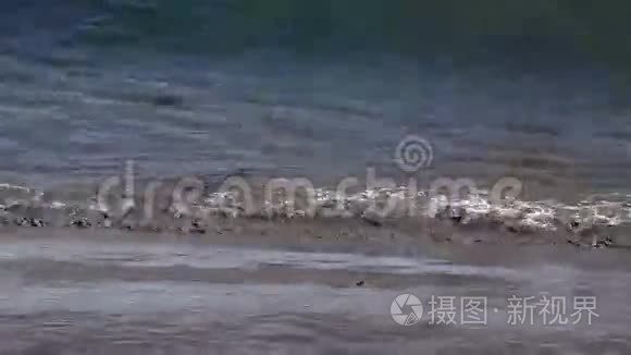 沙滩上海浪的密集镜头视频