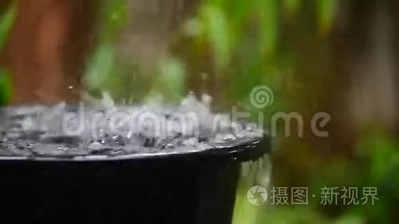 雨水倒灌黑盆和绿园视频