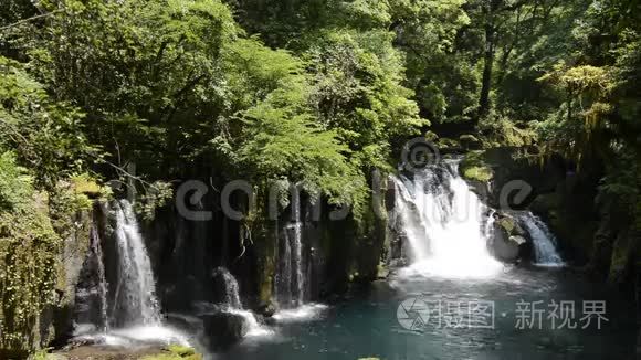 原始森林下的级联视频