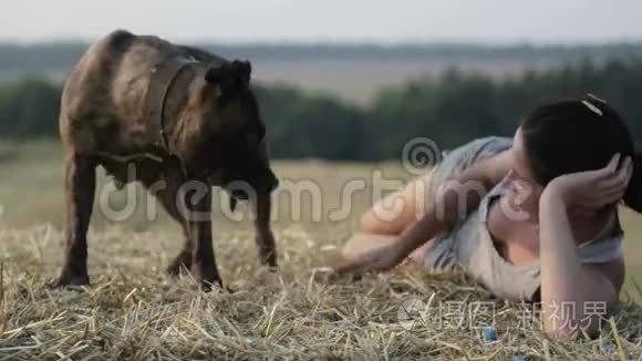 在马槽里养狗的年轻女人。 一个女孩和一只猎犬在田野里的肖像。