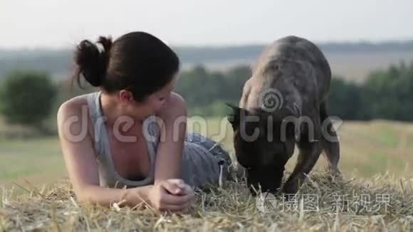 在马槽里养狗的年轻女人。 一个女孩和一只猎犬在田野里的肖像。