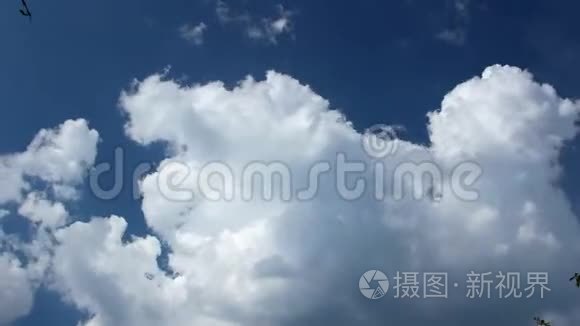 天气概念预测背景视频