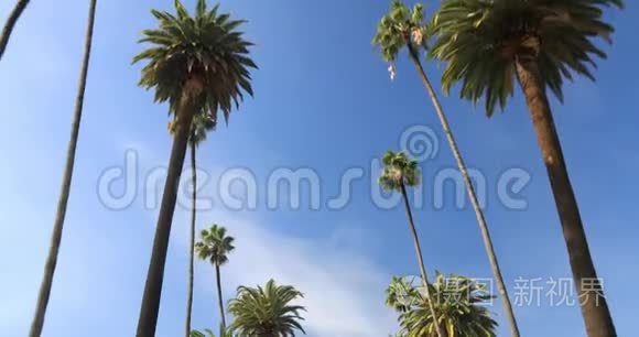 比弗利山街有棕榈树视频