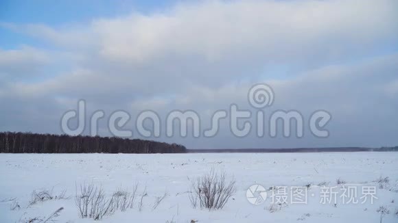 田野和森林的冬季景观..