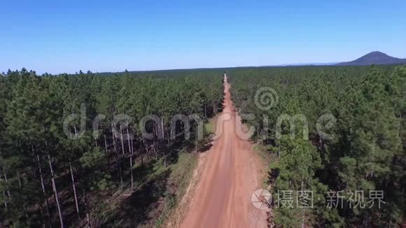 POV沿土路行驶至树顶天线