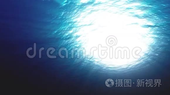 海底的海洋视频