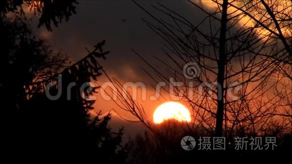 大自然树木后面五彩缤纷的日落视频