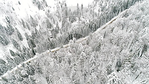 冬季汽车沿林路行驶