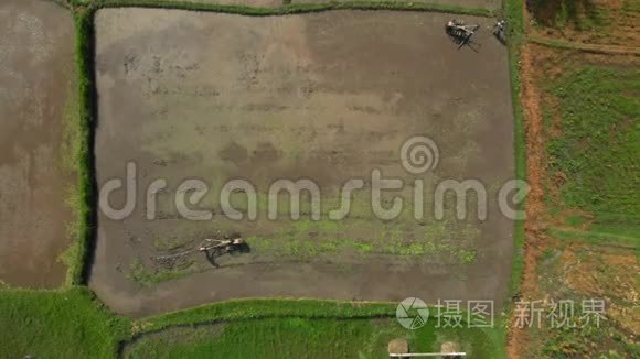 为水稻种植做耕地准备的农民的空中射击