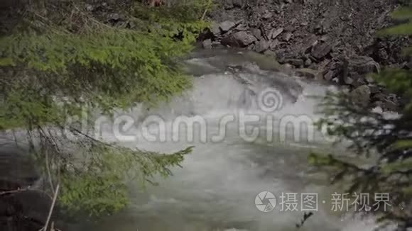 森林里狂风暴雨的山河.