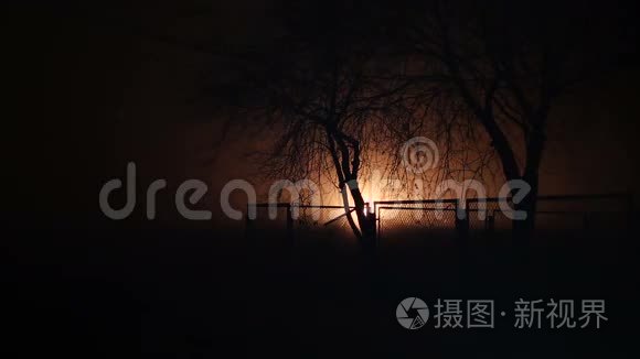 夜晚篱笆后的树木和灯光效果视频