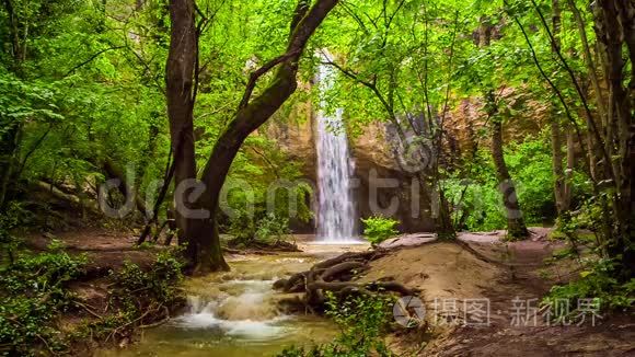 美丽的瀑布在明亮的绿色森林视频