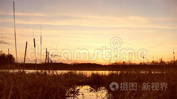 夕阳西下河水草太阳自然景观视频