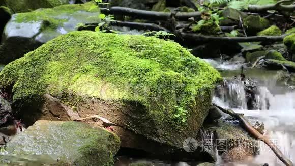 美丽的小溪和有绿色苔藓的石头