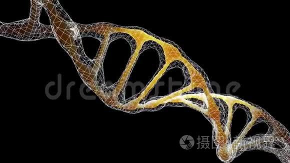 上面有连接网的DNA。