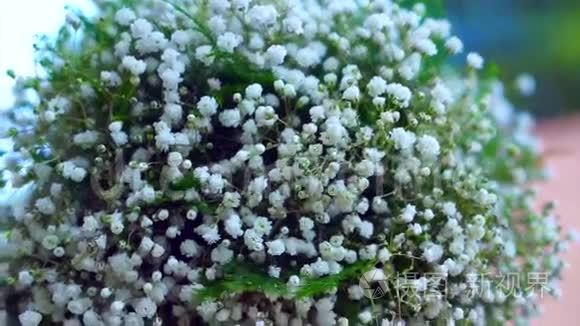 视频膨化小白花束花卉植物视频