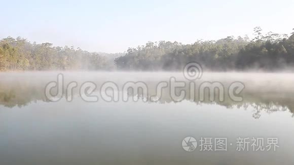 早晨的湖雾和春天的日出视频
