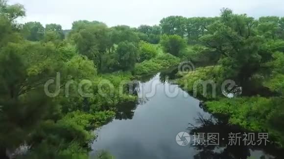 飞越Seim河，乌克兰被树木包围-空中录像